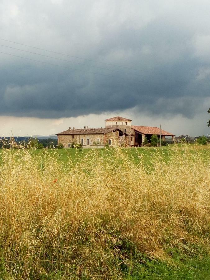 Agriturismo Ca' Preda Villa San Giorgio Piacentino Exterior foto